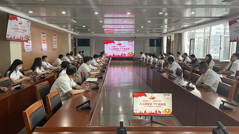 技能培训与学历教育的优劣势解析